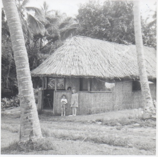 In Tanna, Vanuatu (1973)
